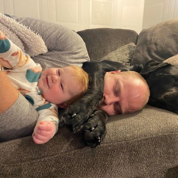 Meet your Posher, Aj - Picture 1 of 1